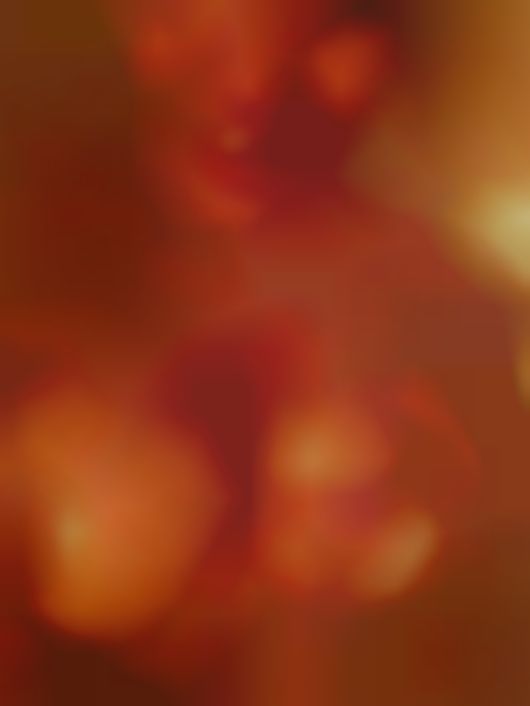 Exotic express personals meet women big Belly!